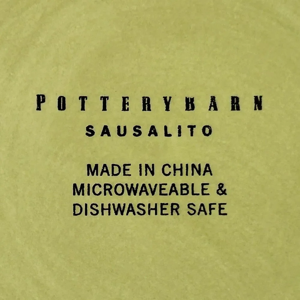 Pottery Barn Sausalito Sage Green Dinner Plate Rustic Hand Painted 12.25